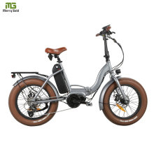 2020 Folding E Bike Electric Bicycle Portable Small Folding Electric Bicycle